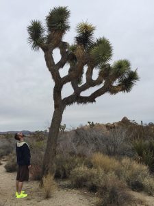 11041792_1014224198606697_8882824873658987310_n